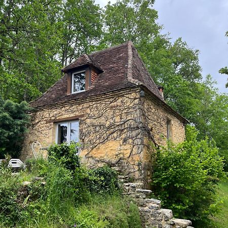 Petite Maison En Perigord Noir Plazac Exteriör bild